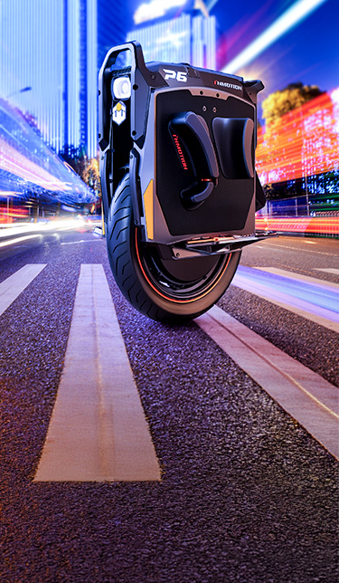 Fiido X E-Bike