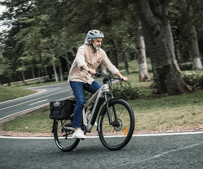The Fiido Nomads Touring E-bike