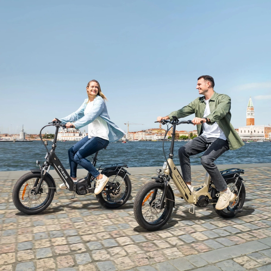 Discover the Engwe L20 3.0 Pro Electric Bike