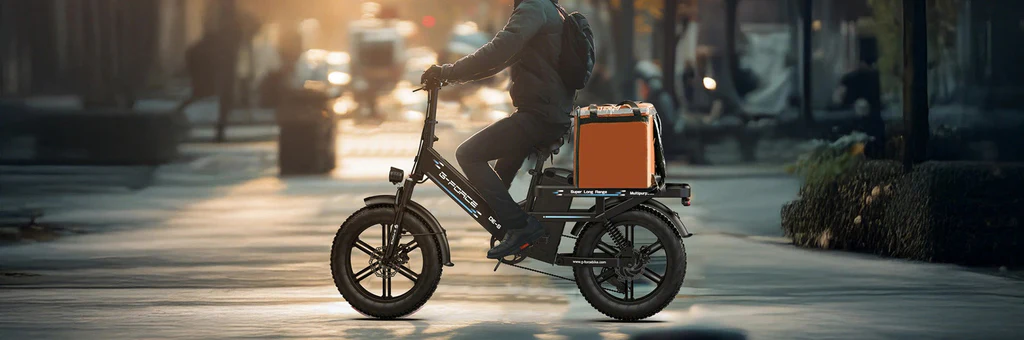 G-FORCE DE-S Cargo E-Bike