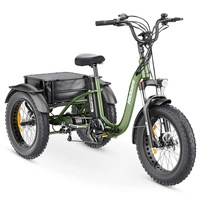 Hidoes ET1 Electric Tricycle - 750W Power | 20Ah Battery | 25mph Speed | 59mi Range