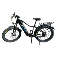Allegro Hurricane Electric Bike - 750W Power | 20Ah Battery | 30mph Speed | 40mi Range | TDL6152