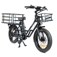 ADN K750 Electric Cargo Bike - 750W Power | 20.8Ah Battery | 28mph Speed | 50mi Range