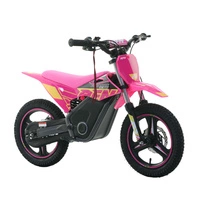 RFN Warrior Kids SX-E500 Electric Motorcycle - 500W Power | 5Ah Battery | 19mph Speed | 11mi Range