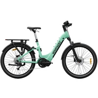 Himiway A7 Pro Electric Bike - 250W | 15Ah Battery | 15.5mph Speed | 50mi Range