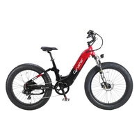 Cyrusher Roam Electric Bike - 750W Power | 15.6Ah Battery | 28mph Speed | 62mi Range | Step-Thru All-Terrain 