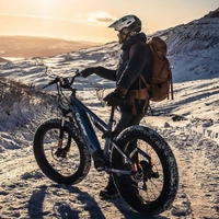 Cyrusher Rover All-Terrain Electric Bike - 250W Power | 15.6Ah Battery | 15.5mph Speed | 62mi Range