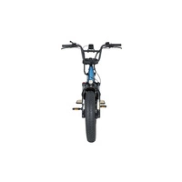 Cyrusher Glider Cargo Electric Bike - 250W Power | 15.6Ah Battery | 15.5mph Speed | 62mi Range