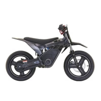 RFN Warrior Kids SX-E700 SM Electric Motorcycle - 700W Power | 7.5Ah Battery | 22mph Speed | 16mi Range | Supermoto Tyres