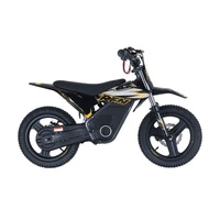 RFN Warrior Kids SX-E500 Electric Motorcycle - 500W Power | 5Ah Battery | 19mph Speed | 11mi Range