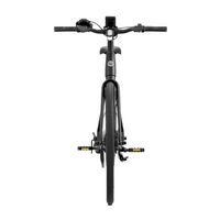 Heybike EC1 Electric Bike - 250W Power | 10Ah Battery | 15.5mph Speed | 62mi Range