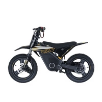 RFN Warrior Kids SX-E500 Electric Motorcycle - 500W Power | 5Ah Battery | 19mph Speed | 11mi Range