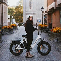 Cyrusher Rumble Electric Bike - 500W Power | 18Ah Battery | 22mph Speed | 58mi Range