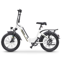 Hidoes BF1 Foldable Electric Bike - 750W Power | 13Ah Battery | 25mph Speed | 41mi Range