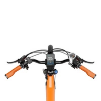 Heybike CityRun Electric Bike - 1000W Power | 15Ah Battery | 21mph Speed | 55mi Range