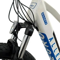 Allegro City Cruiser Electric Bike - 750W Power | 13Ah Battery | 21mph Speed | 45mi Range