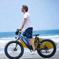 Cyrusher Roam Electric Bike - 750W Power | 15.6Ah Battery | 28mph Speed | 62mi Range | Step-Thru All-Terrain 