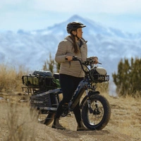 Cyrusher Glider Cargo Electric Bike - 250W Power | 15.6Ah Battery | 15.5mph Speed | 62mi Range