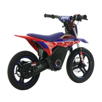 RFN Warrior Kids SX-E700 SM Electric Motorcycle - 700W Power | 7.5Ah Battery | 22mph Speed | 16mi Range | Supermoto Tyres