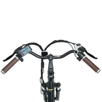 isinwheel Swift Rider U2 Electric Bike - 500W Power | 13Ah Battery | 20mph Speed | 47mi Range