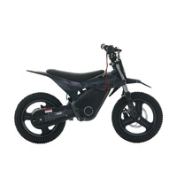 RFN Warrior Kids SX-E700 Electric Motorcycle - 700W Power | 7.5Ah Battery | 22mph Speed | 16mi Range | MX Tyres