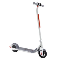 isinwheel Jolly Electric Scooter - 150W Power | 4Ah Battery | 9.3mph Speed | 9.3mi Range | For Kids