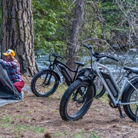 Himiway D3 Cruiser Step-Thru Electric Bike - 1200W Power | 15Ah Battery | 25mph Speed | 60mi Range