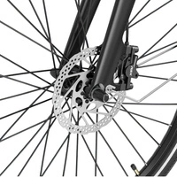 Heybike EC1 Step-Through Electric Bike - 250W Power | 10Ah Battery | 15.5mph Speed | 62mi Range