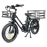 ADN K750 Electric Cargo Bike - 750W Power | 20.8Ah Battery | 28mph Speed | 50mi Range