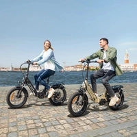 Engwe L20 3.0 Pro Electric Bike - 250W Power | 15Ah Battery | 15.5mph Speed | 99mi Range