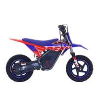RFN Warrior Kids SX-E400 Electric Motorcycle - 400W Power | 5.2Ah Battery | 15.5mph Speed | 11mi Range