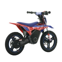 RFN Warrior Kids SX-E500 Electric Motorcycle - 500W Power | 5Ah Battery | 19mph Speed | 11mi Range