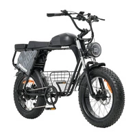 Hidoes B9 Electric Bike - 250W Power | 33.8Ah Battery | 15.5mph Speed | 56mi Range 