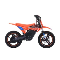 RFN Warrior Kids SX-E700 SM Electric Motorcycle - 700W Power | 7.5Ah Battery | 22mph Speed | 16mi Range | Supermoto Tyres