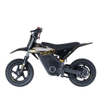 RFN Warrior Kids SX-E400 Electric Motorcycle - 400W Power | 5.2Ah Battery | 15.5mph Speed | 11mi Range