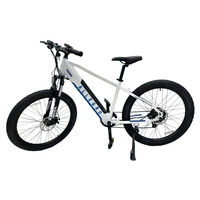 Allegro City Cruiser Electric Bike - 750W Power | 13Ah Battery | 21mph Speed | 45mi Range