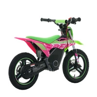 RFN Warrior Kids SX-E500 Electric Motorcycle - 500W Power | 5Ah Battery | 19mph Speed | 11mi Range