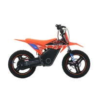 RFN Warrior Kids SX-E500 Electric Motorcycle - 500W Power | 5Ah Battery | 19mph Speed | 11mi Range