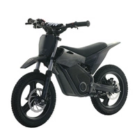 RFN Warrior Kids SX-E700 Electric Motorcycle - 700W Power | 7.5Ah Battery | 22mph Speed | 16mi Range | MX Tyres