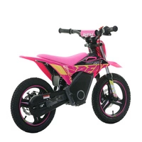 RFN Warrior Kids SX-E500 Electric Motorcycle - 500W Power | 5Ah Battery | 19mph Speed | 11mi Range