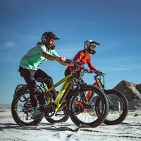 Cyrusher Ranger Electric Bike - 750W Power | 20Ah Battery | 28mph Speed | 75mi Range