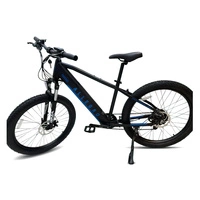 Allegro City Cruiser Electric Bike - 750W Power | 13Ah Battery | 21mph Speed | 45mi Range