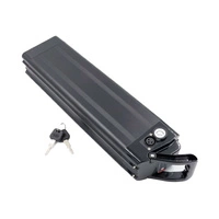 Battery 20Ah Allegro City Fold 48V With Key