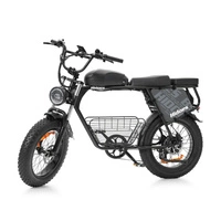 Hidoes B9 Electric Bike - 250W Power | 33.8Ah Battery | 15.5mph Speed | 56mi Range 