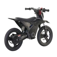 RFN Warrior Kids SX-E700 SM Electric Motorcycle - 700W Power | 7.5Ah Battery | 22mph Speed | 16mi Range | Supermoto Tyres