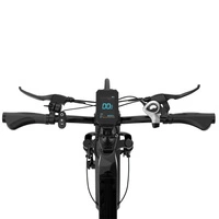 ECORUSH ECO R2 Electric Bike - 250W Power | 10.4Ah Battery | 15.5mph Speed | 55mi Range