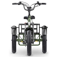 Hidoes ET1 Electric Tricycle - 750W Power | 20Ah Battery | 25mph Speed | 41mi Range