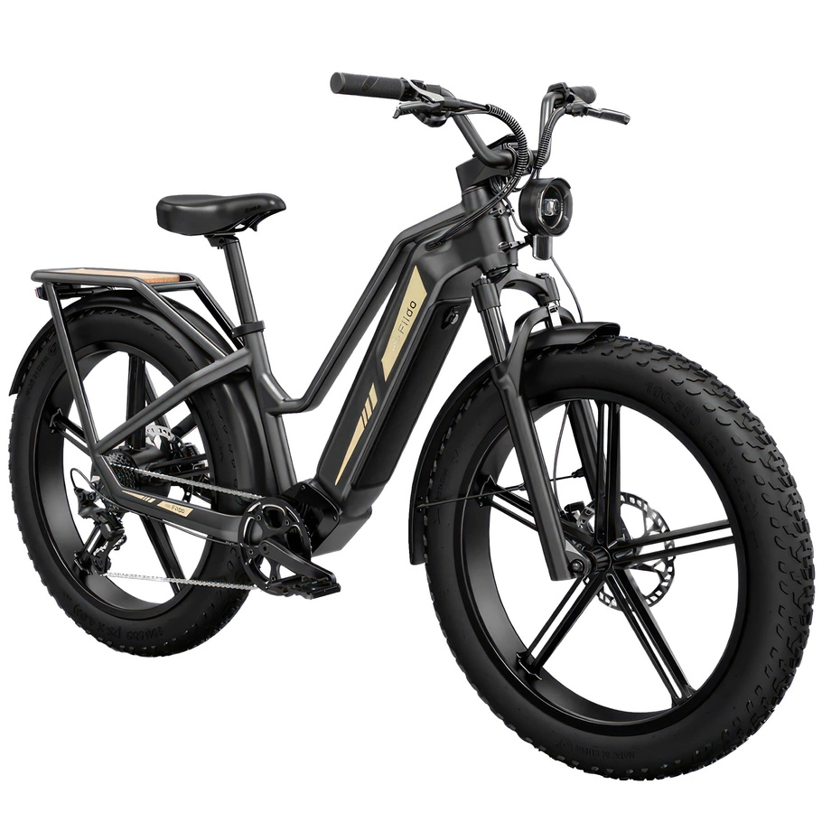 Fiido Titan Electric Bike - 250W Power | 14.5Ah Battery | 15.5mph Speed | 84mi Range