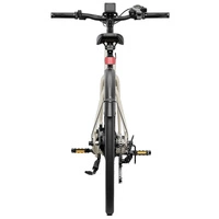 Heybike EC1 Step-Through Electric Bike - 250W Power | 10Ah Battery | 15.5mph Speed | 62mi Range