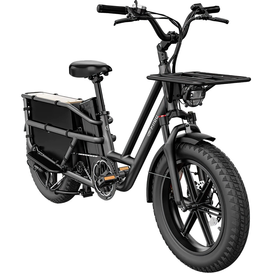 Fiido T2 Longtail Cargo Electric Bike - 2023 | 750W Power | 20Ah Battery | 25mph Speed | 69mi Range